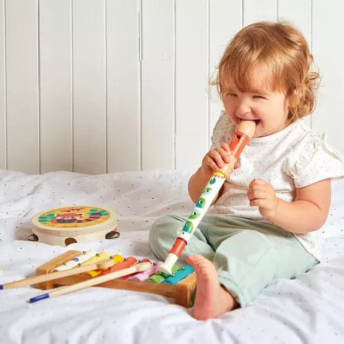 Conjunto musical Gioia +18 meses | Janod 7656