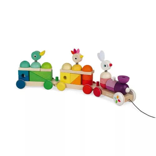 Zigolos Tren Gigante Multicolor  +12 meses | Janod 8202